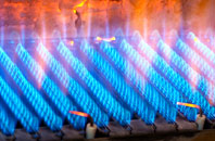 Eslington Park gas fired boilers